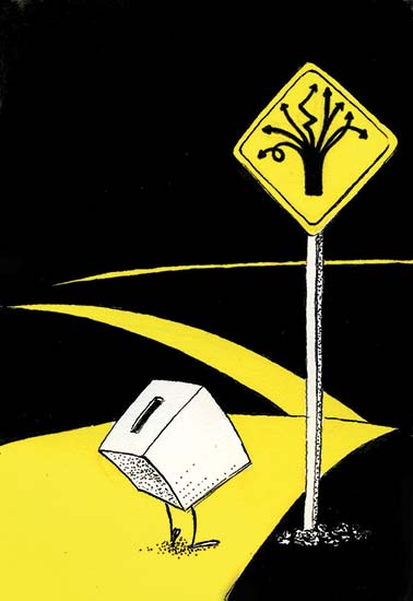 La elección extraordinaria y la extraordinaria victoria de Martha Érika Alonso