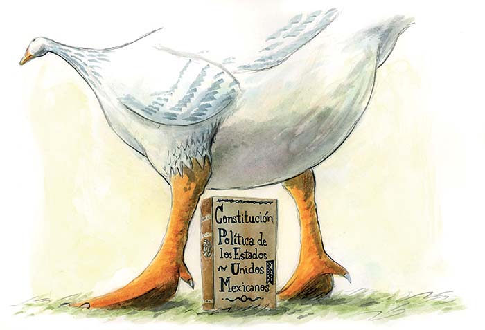 El presidente y la Constitución