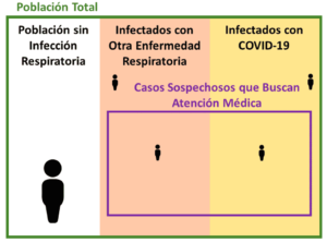Fig. 2. Clasificación de la población mexicana según el estado de infección de enfermedades respiratorias
