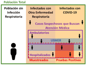 Fig. 7. Clasificación de la población mexicana según el estado de infección de enfermedades respiratorias, y el muestreo de los casos sospechosos del COVID-19