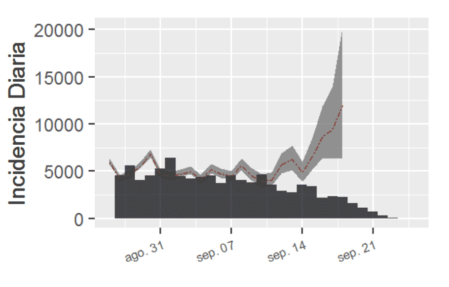 (a) Estimación de número de infectados