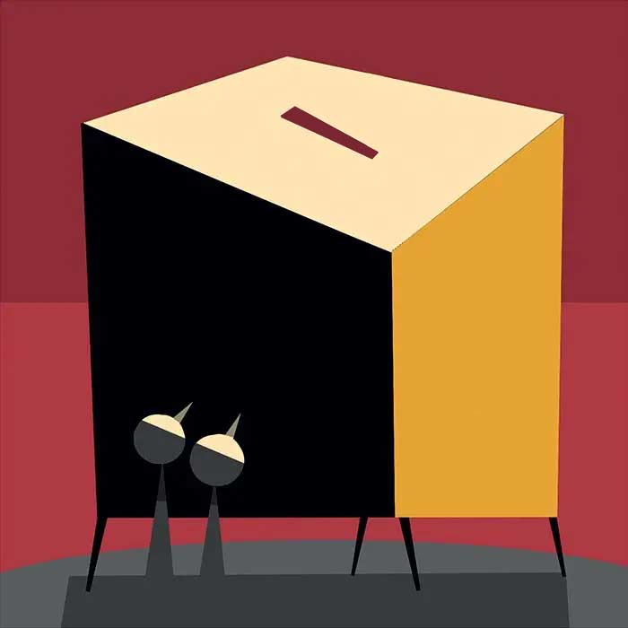 La participación electoral en la Consulta Popular